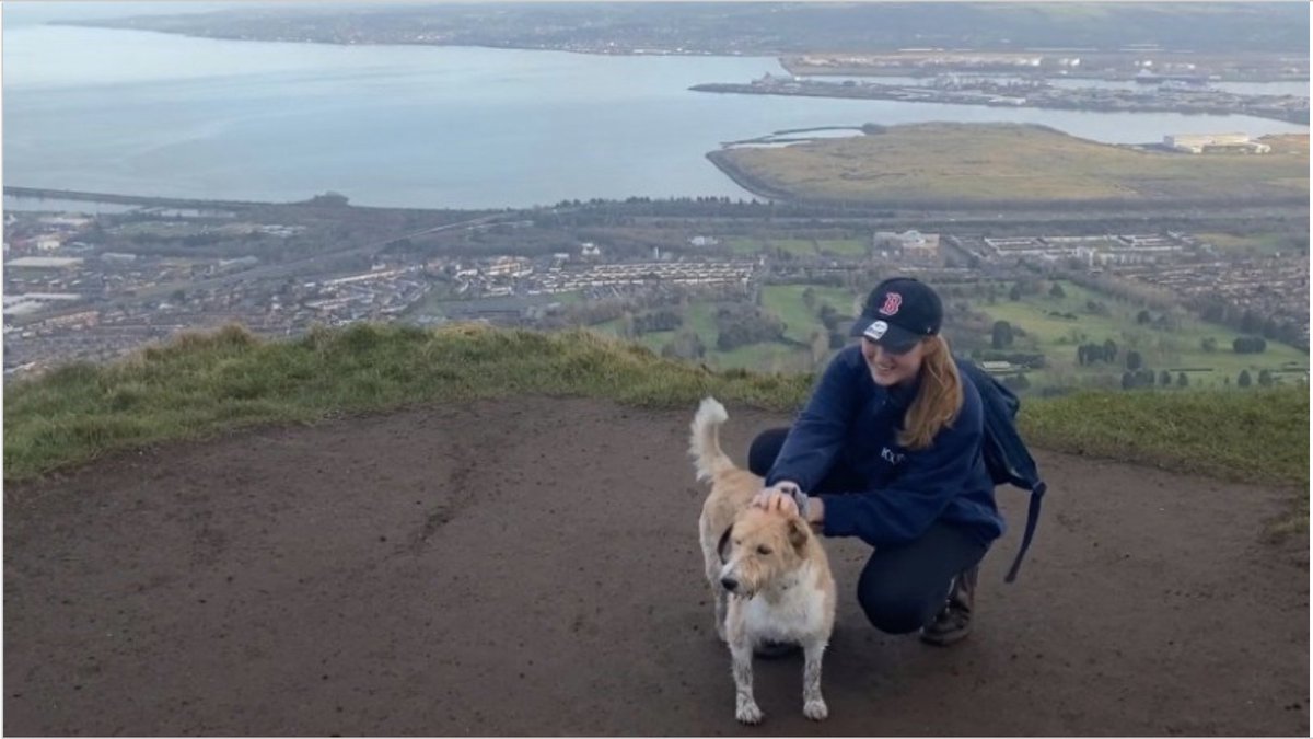 SVP - Ireland tweet media