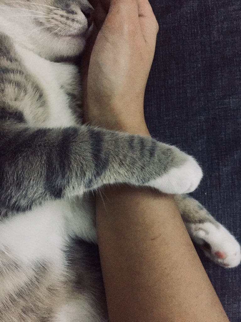 Biraz love konuşalım..