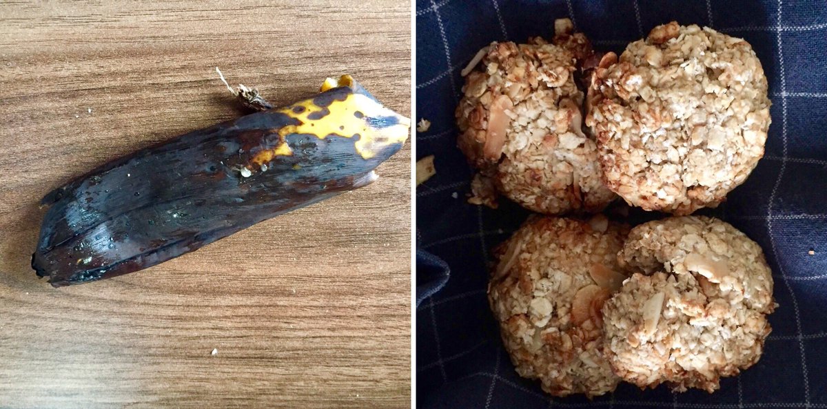 Saw someone on telly using a manky banana to create an amazing dessert so figured worth a try. Result - rather yum banana oat biscuits! I vow not to be so scared of black bananas in future. Great to be #BristolFoodKind and reduce #foodwaste