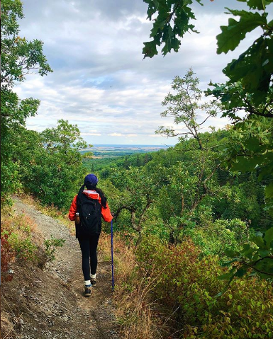 TourismWestman's tweet photo. We will weather the storm πΏπ₯Ύ Stay positive as better days are ahead of us. Thank you @LizTran_ for sharing this pic and sending us positive energy from Riding Mountain National Park.
#flattenthecurve #westman #manitoba #manitobaparks #tourismwestman #mb #manitobaspring https://t.co/78E0WCqIwu