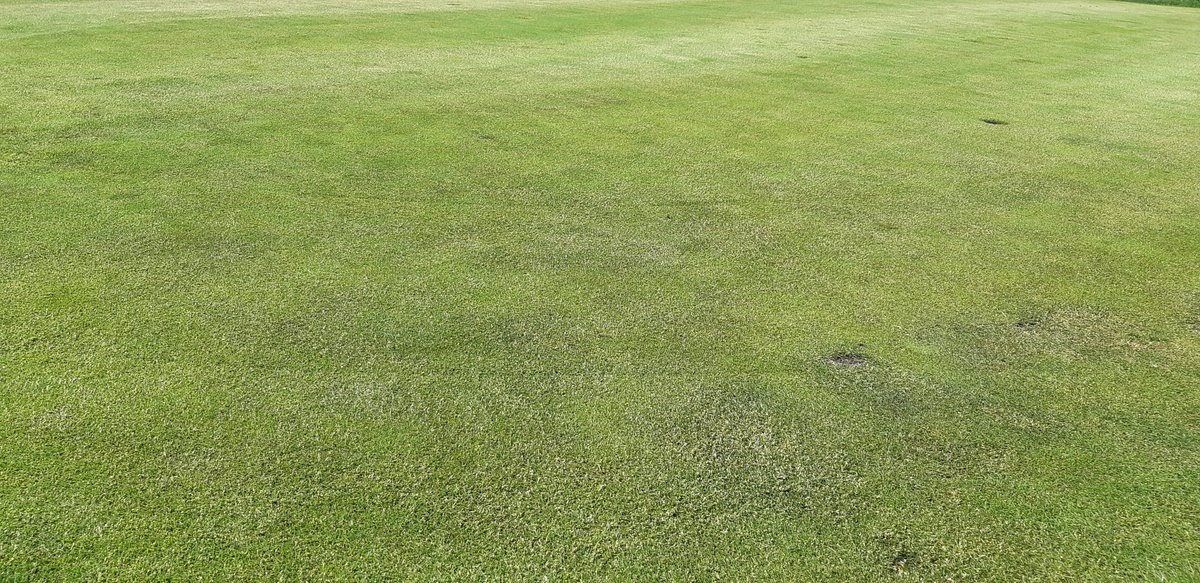 Yesterday's mystery hole was the 14th green-side bunker. Again lots of you got it. Really well done. So then which hole is it today ?? This one will fox you.