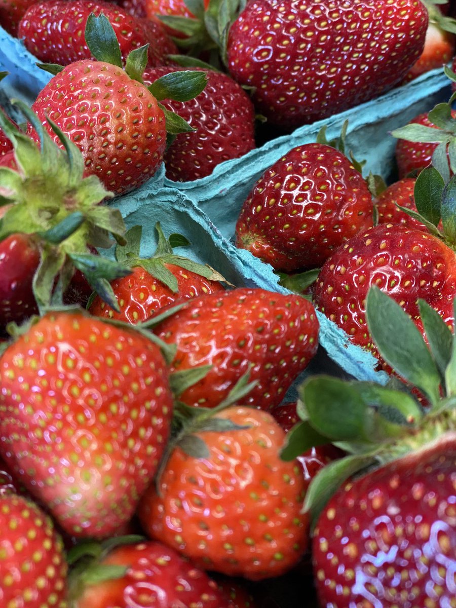 🍓Strawberries will be ready bright and early tomorrow morning at 9 AM! Remember the first hour is reserved for those with compromised immune systems and +65 years old.🍓#strawberry #delicious #produceplace #sylvanpark #nashville