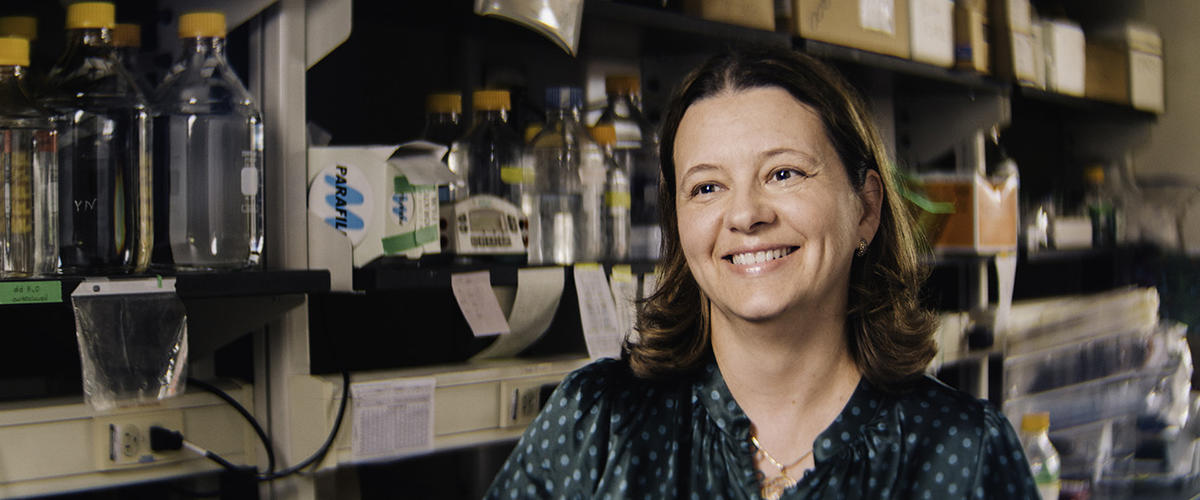 TheWistar's tweet photo. A new study from @TheWistar’s lab of Dr. Yulia Nefedova now online in @MCT_AACR shows that a novel PAD4 small molecule inhibitor can be used for #multiplemieloma treatment. https://t.co/kqmoMmjSB6 #WistarScience
Find it here: DOI: 10.1158/1535-7163.MCT-19-1020 https://t.co/wNnsJcIPdN
