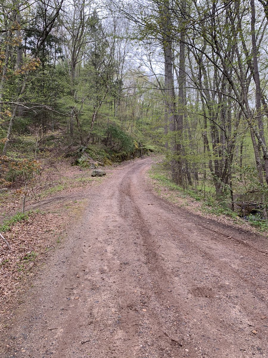 tannerkern_'s tweet photo. Thanks @Xavier_XC_TF for the trail recommendation today. Very tough trail, but still a lot of fun!

Not at Stonier level yet, but still grinding everyday💪

#BodyByWarren https://t.co/xVCyw8XuHc