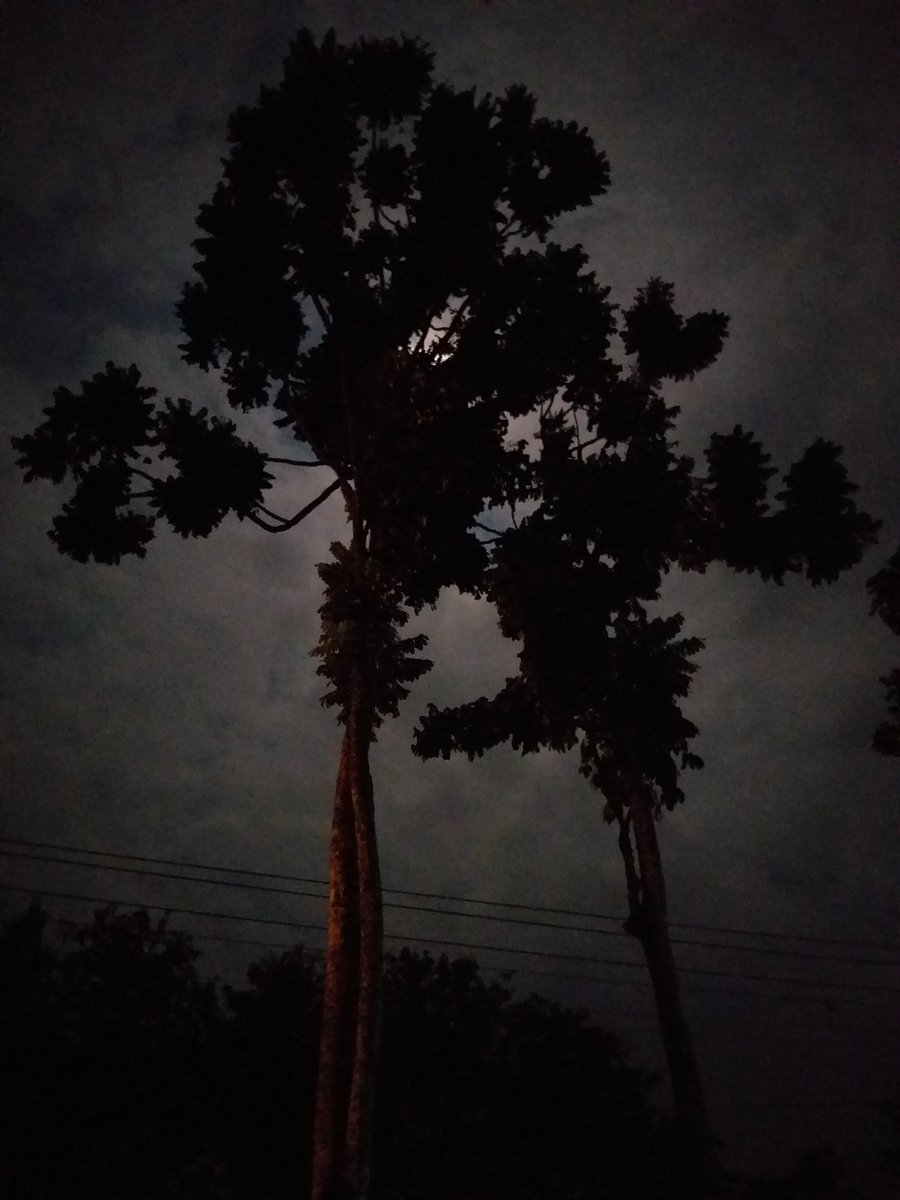 ryze_ryan's tweet photo. ketika kamu mencari pembenaran dari suatu kesalahan, akan sama seperti menambah kesalahan yang baru, lalu benarmu kapan?? entahlah. .. https://t.co/akst75kM5m