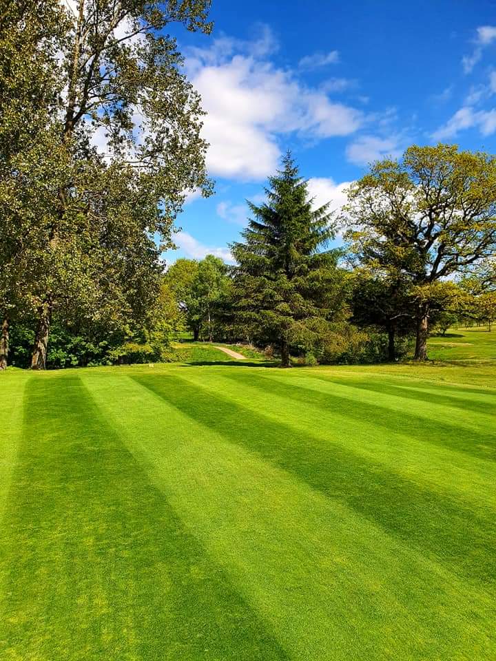 Greens with a cut today. They are still being cut a couple mm above what they normally would be at this time in the season. This is to protect them from the dry spell and reduce the stress from cutting when it is not necessary.