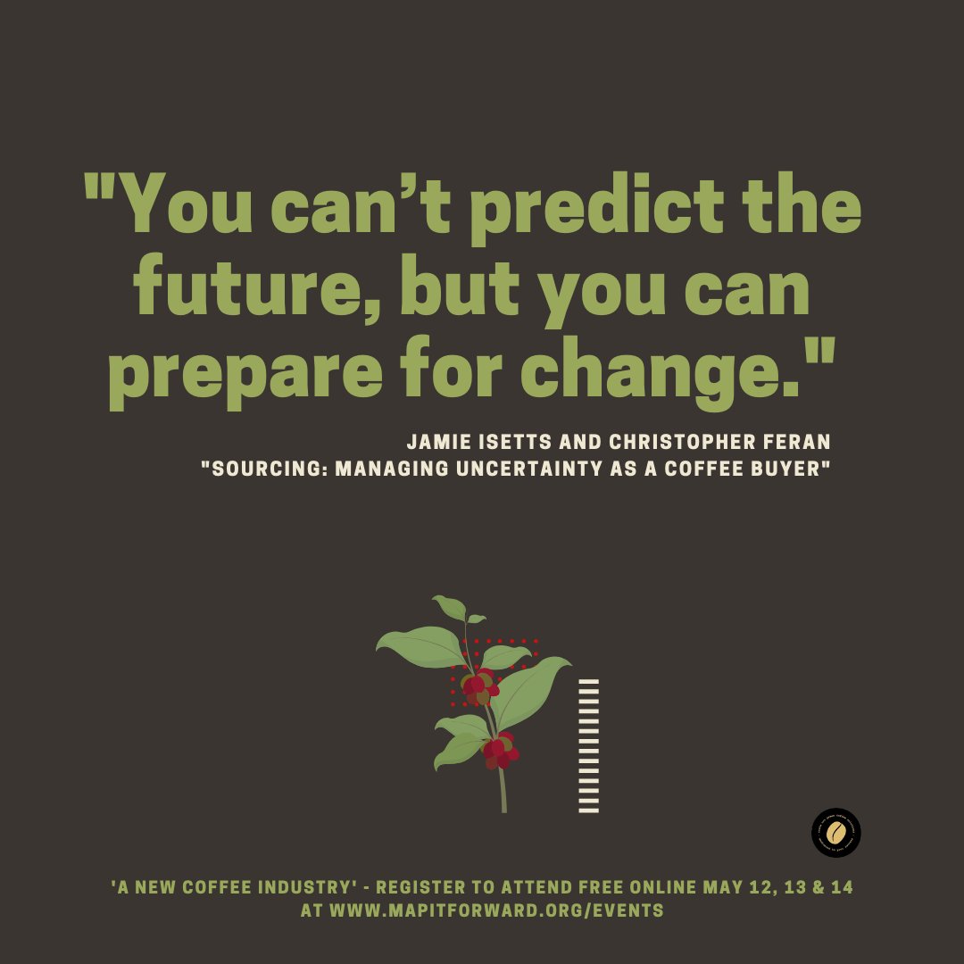 Lee Safar tweet media