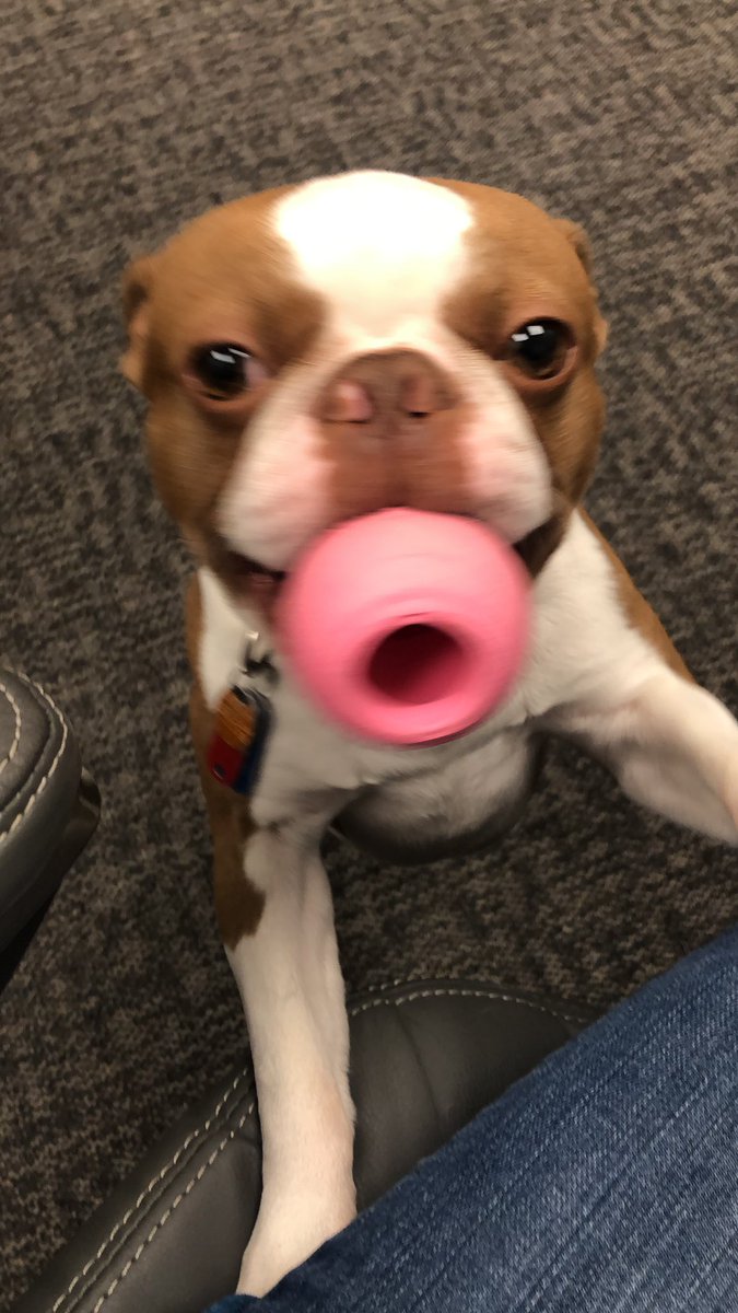 mQWaffles's tweet photo. Someone play with me! https://t.co/gO92yyz96Y