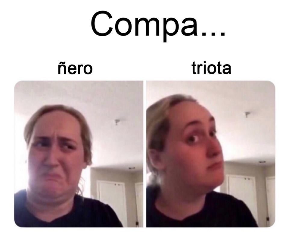 Bruno Masciocchi tweet media