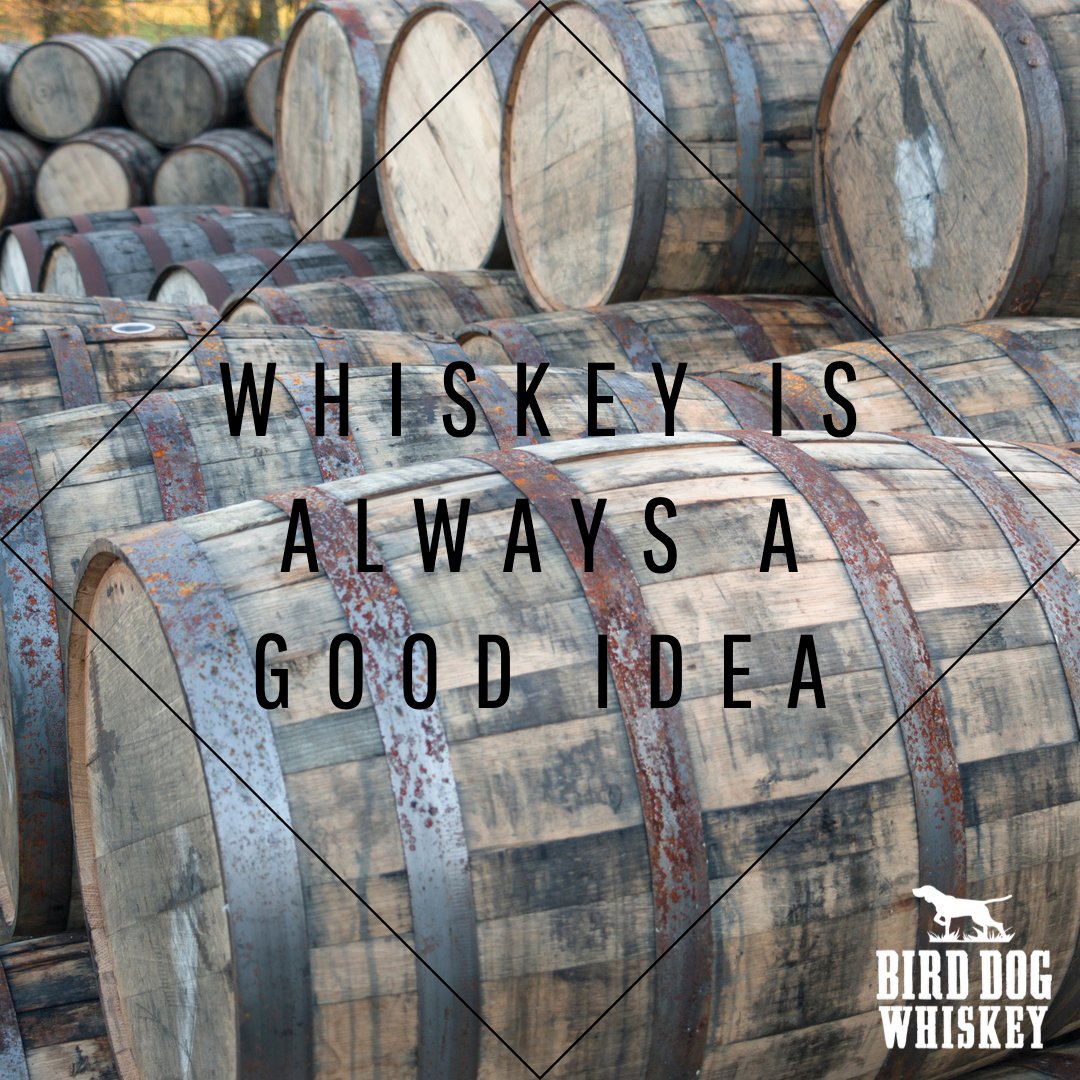 Bird Dog Whiskey is ALWAYS a good idea!

#mostawarded #cheers #birddogwhiskey #bourbon #whiskey #flavoredwhiskey