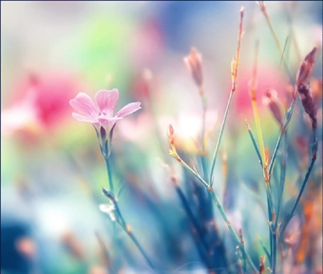 s_msonia's tweet photo. @HarryVasquez4 Thank you Harry
Stay Safe 🧡🍂🍃
Stay positive🌞
Stay Strong 🙋♀️🧡
Have a Nice Day 🕺🎸🎶
#Goodvivesonly
#NiceNewweek https://t.co/za8P4Uaupu