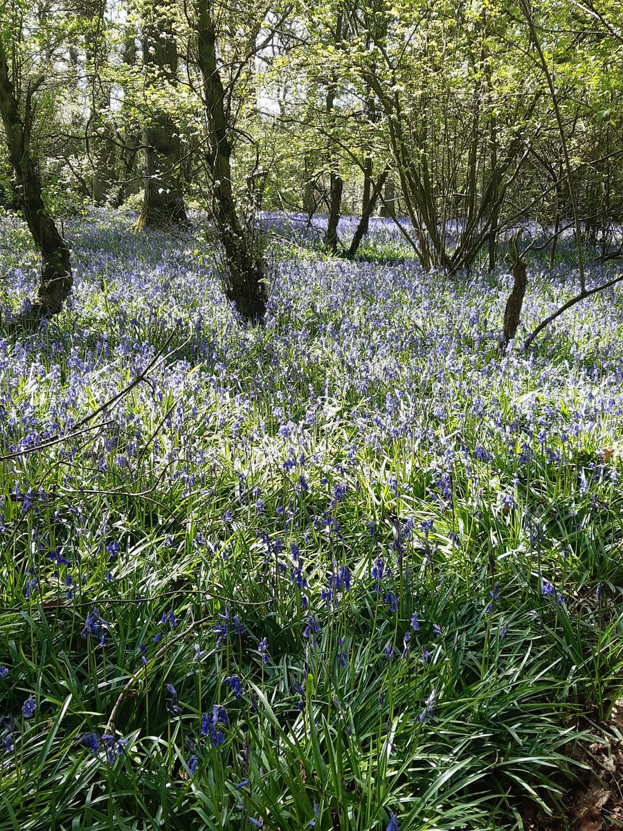 Day 3/7 #mylifeinpictures no people, no words, nominate a new person each day. I was nominated by the glorious <a href="/alisonbolton/">Ali Bolton</a> and today I challenge the marvelous <a href="/AmandaE43428047/">Amanda Spooner</a>