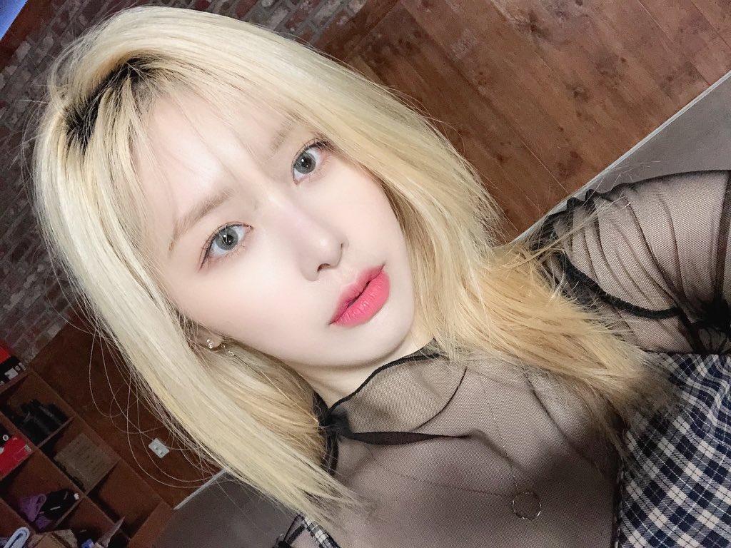 girlgroupspics tweet picture