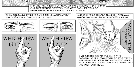 Your two eyes have different perspectives and thus contradict each other constantly about what's closer and what's on what side of what......and—usually—rather than wasting energy on an argument over which 2D view is right, the brain integrates them into DEPTH PERCEPTION 