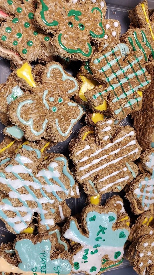 Freebie Alert!! It's the perfect time to try the Fido Fun Meal. Buy now &amp; get 2 FREE random cookies from the bakery case for dessert!
.
.
.
#brewscuits #freebie #giveaway #shopsmall #shoplocal #shopsmall #montcostrong #dessert #dog #dogs #allnatural #treats #funmeal #fidofunmeal