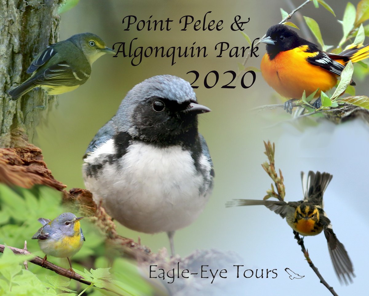 Eagle-Eye Tours tweet media