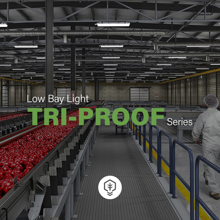 BesserLighting's tweet photo. Tri-Proof Series de Besser Lighting cuenta con la certificación de la organización NSF que avala que los modelos de la Tri-Proof cumplen con los requerimientos necesarios en materia de seguridad y calidad para la industria alimentaria. Más info en: https://t.co/1ggQXBF6rT https://t.co/4AwM7RDqM5