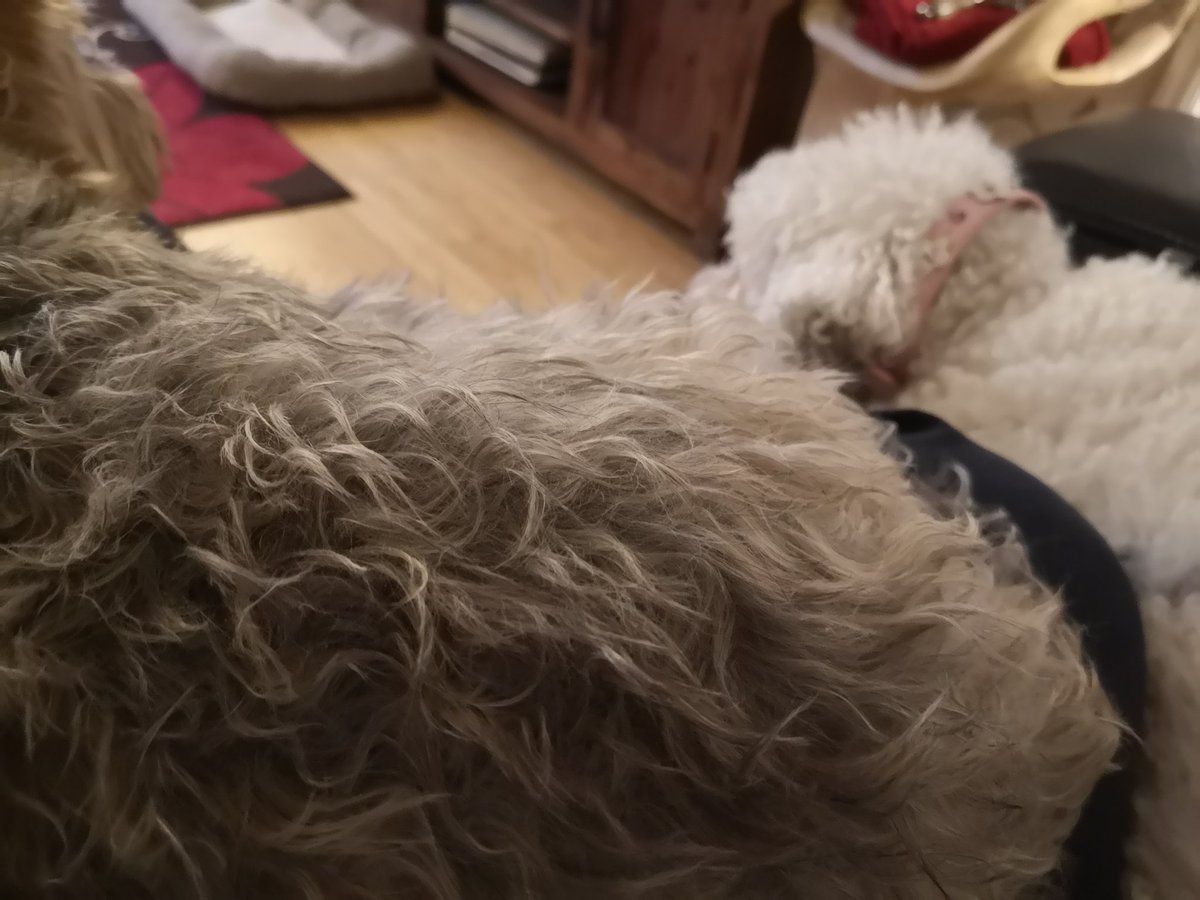 MJD48's tweet photo. @CumbrianBlondie With you there. Dig bed is what I am https://t.co/N2HlIm1n03
