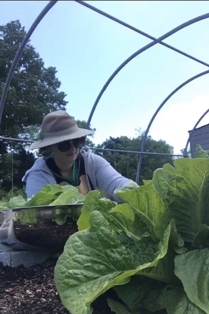 Time for harvesting. Next stop lunches for our kiddos. #farm2school <a href="/OverallCreek/">OverallCreek.STEAM</a> <a href="/FarmtoSchool/">National Farm to School Network</a> @SchoolMealsRock <a href="/TNedu/">TN Dept of Education</a>