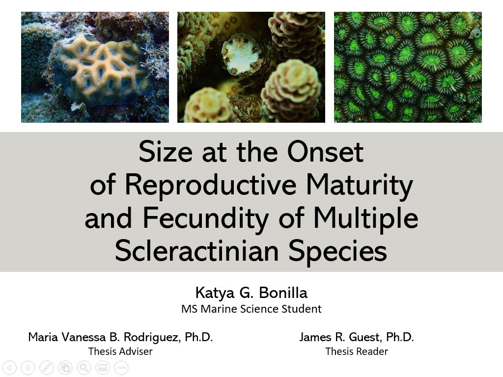 Katya Bonilla tweet media