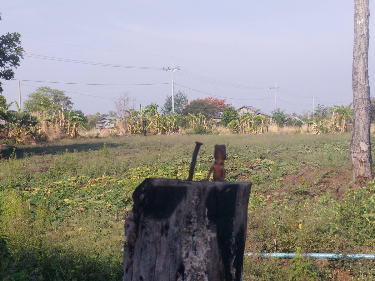 Last of the dinosaurs.