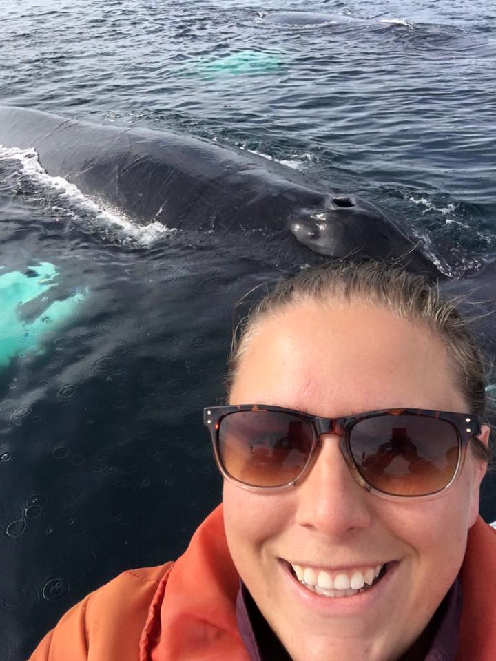 Whale Hello There! 🐳🐋🐋🐳

This weeks theme for <a href="/PESICNL/">PESIC</a> Photo Challenge is "Gone Wild". Here is a selfie I took with a Humpback Whale. 

<a href="/AdmiralsAcad_NL/">Admiral’s Academy Navigators 🏳️‍🌈</a> lets see your pictures!