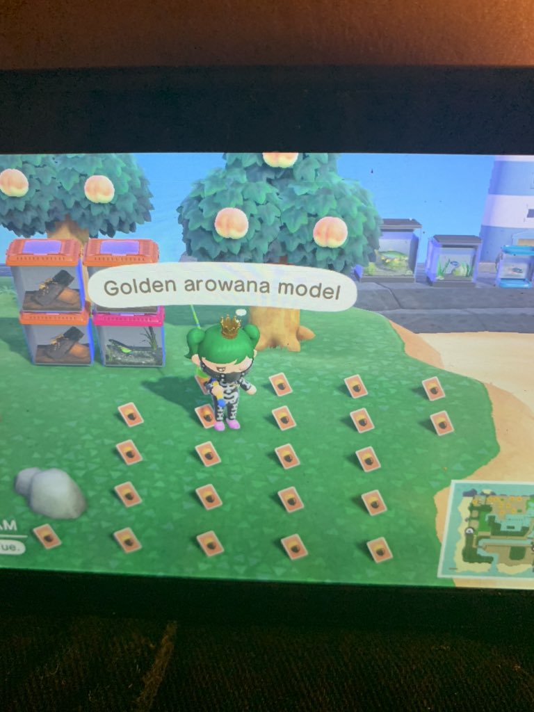 Eeveescapee's tweet photo. Is anyone looking for fossils or recipes? I have a lot for trade right now! Plz dm me! #dodocode #animalcrossing #turnipexchange #acnhvillagertrading #actrading #trade #AnimalCrossingTrades #acnh #ac https://t.co/AyV6ueompq