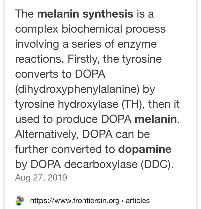 Dopamine, *Neurotransmitter. *Tyrosine to DOPA melanin to Dopamine to Neuromelanin This the Know Self homework 