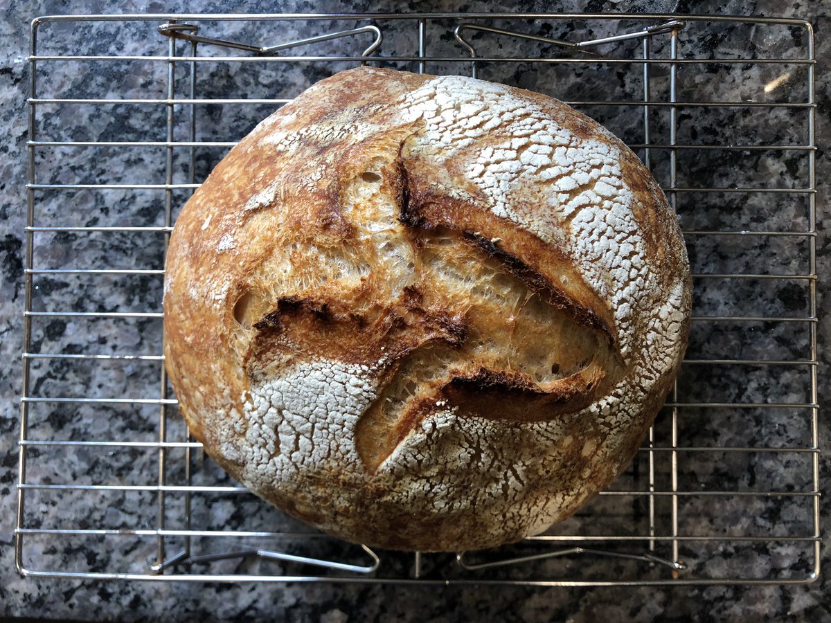 Adventures in sourdough.