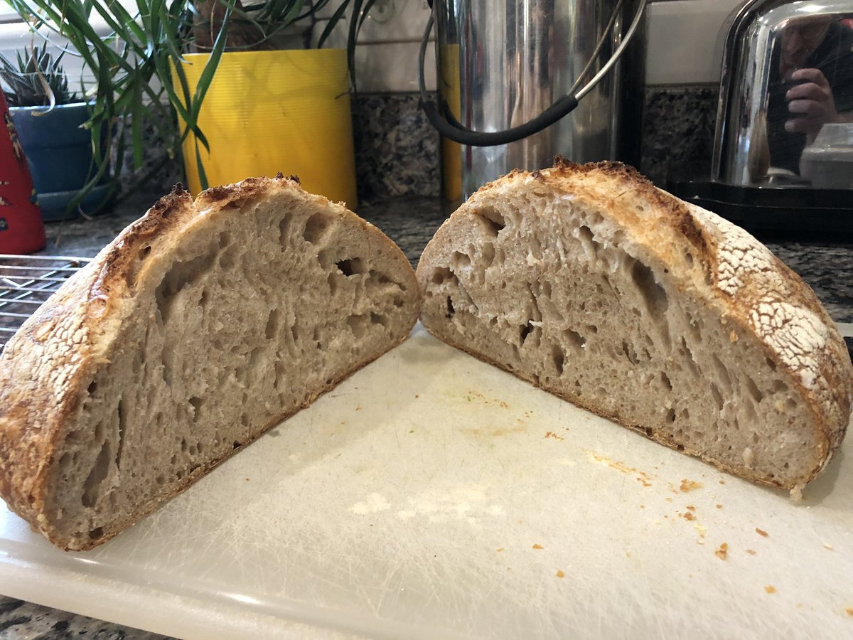 Adventures in sourdough.