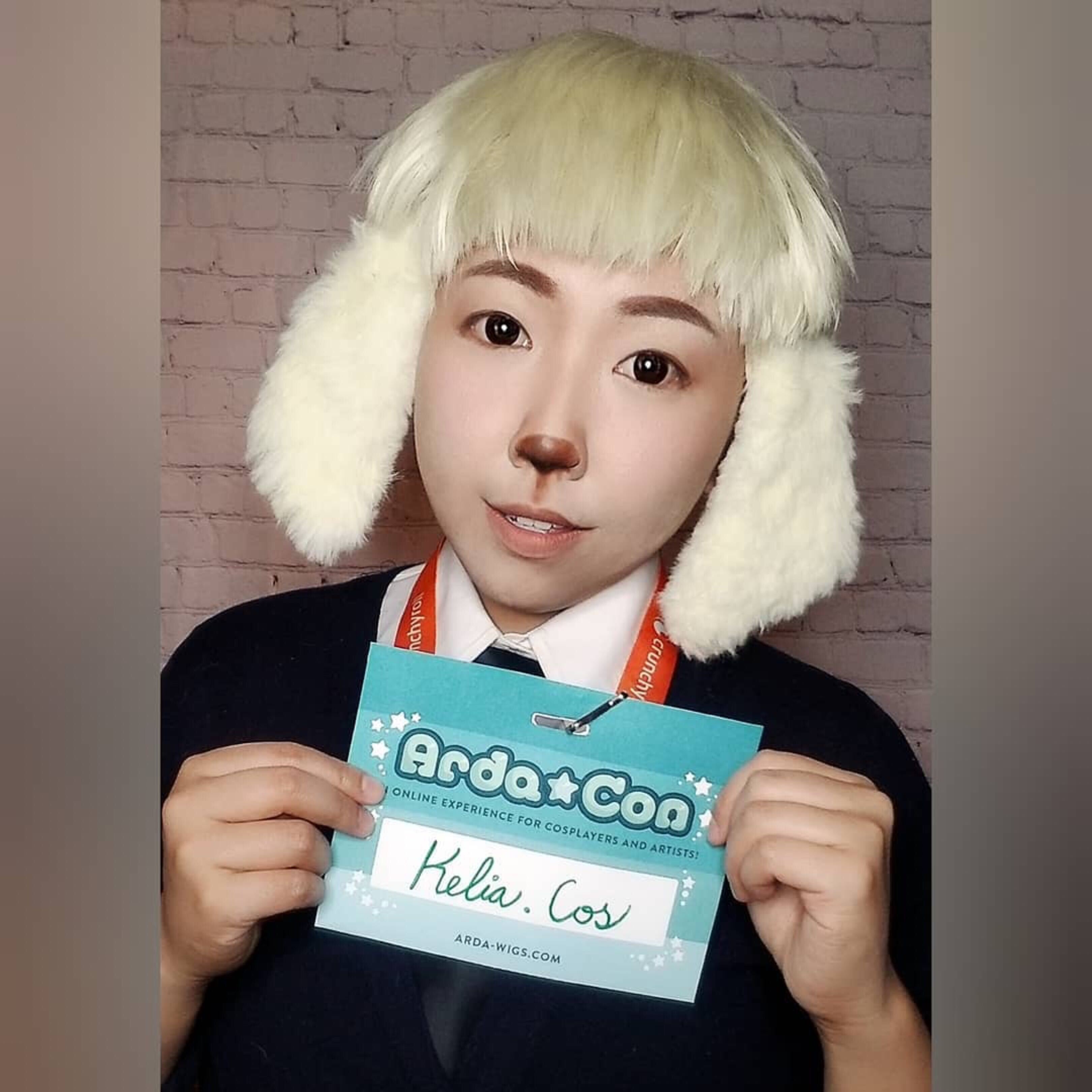 Arda wigs top titanium blonde