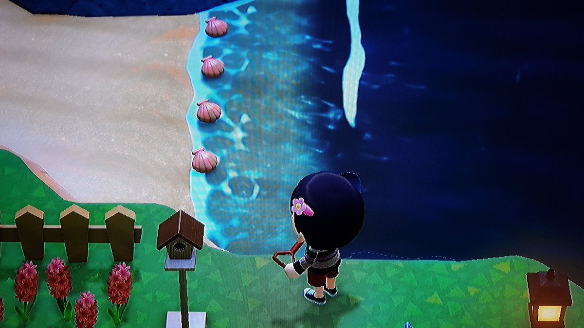 ponyproduction's tweet photo. Salir de casa y encontrarse la fauna costera tan juntita y bien alineada #AnimalCrossingNewHorizon #animalcrossingmemes https://t.co/tpJze3R3Q3