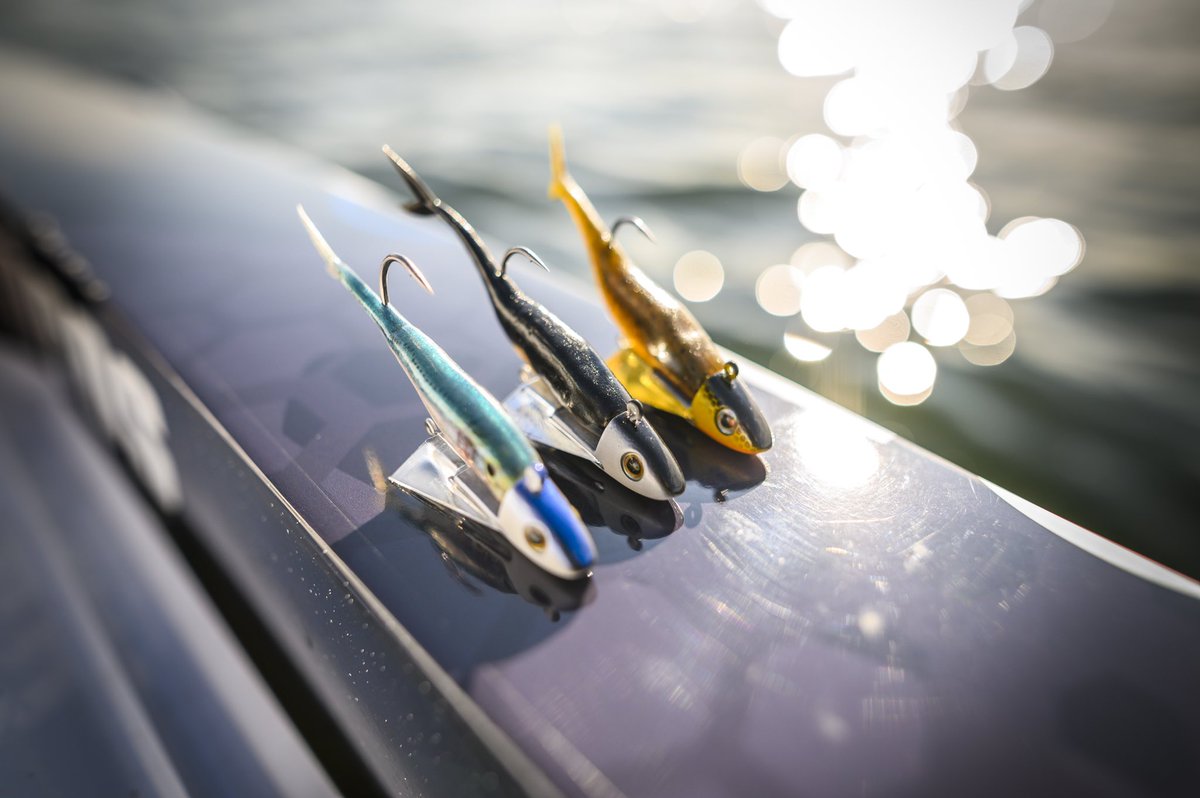 BerkleyFishing's tweet image. A PowerBait The Champ Minnow on a Fusion19 Snap Jig is always a solid choice👍
What do you like to rig on your Fusion19 Snap Jig?

#BerkleyFishing #CatchMoreFish #FishThroughIt