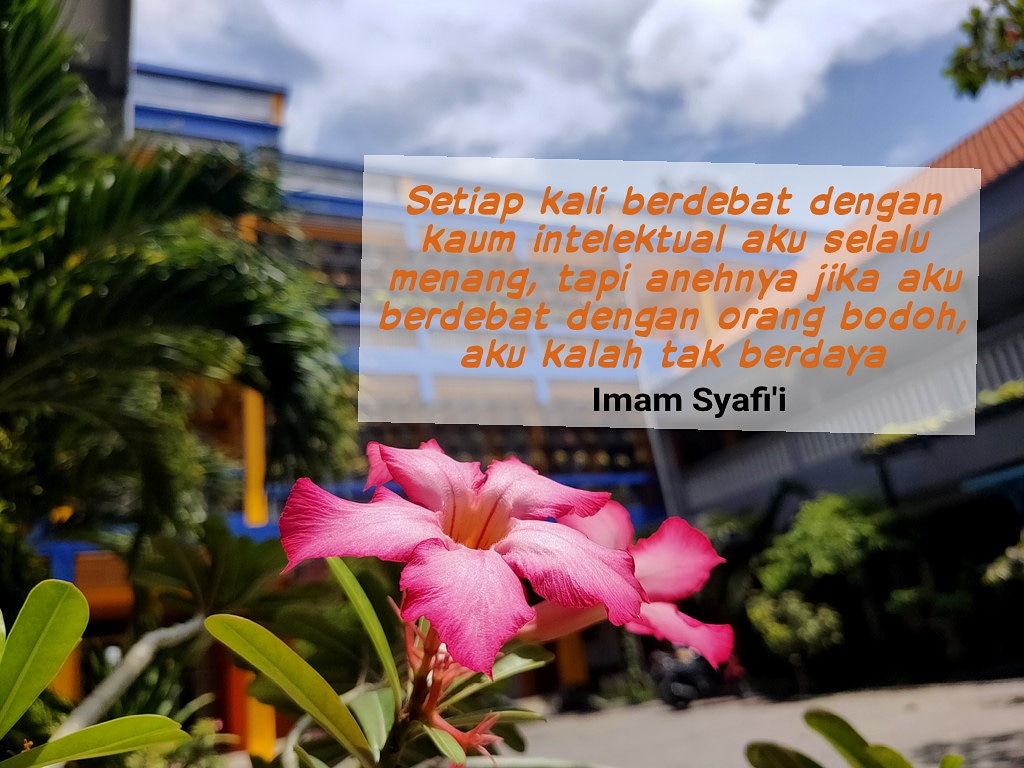 goodnessidn's tweet photo. Setiap kali berdebat dengan kaum intelektual aku selalu menang, tapi anehnya jika aku berdebat dengan orang bodoh, aku kalah tak berdaya

Imam Syafi'i https://t.co/IuMDhFYvJq