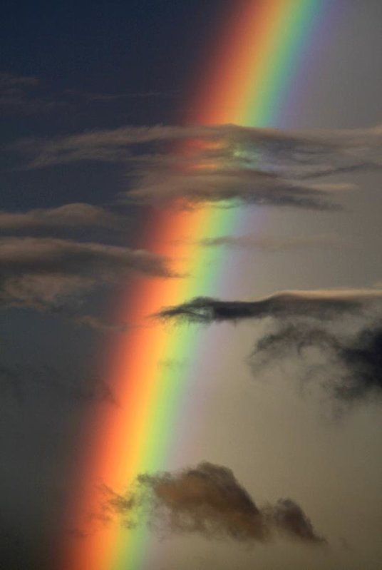 seonghwa as the rainbow colors; a thread