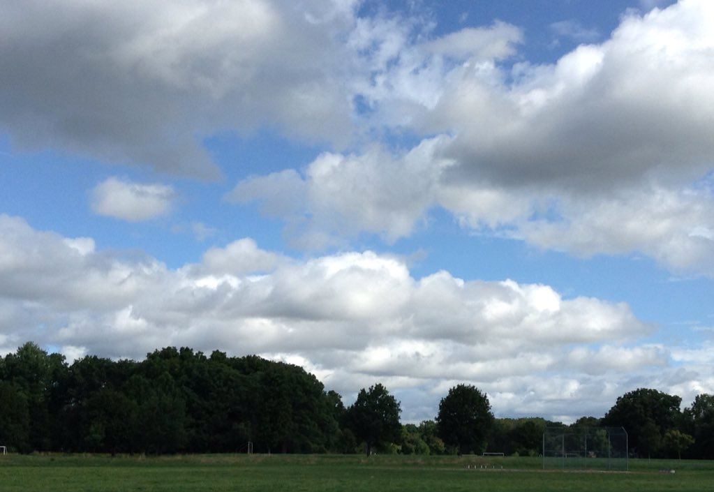 Mrs.MacKenzie tweet media