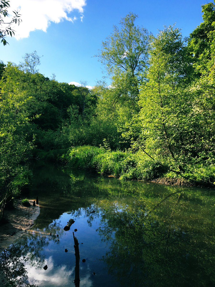 ForhousingLorna's tweet photo. Lovely evening walk tonight 🌳husband was in shorts and a T-shirt, I had my big coat, hat and scarf... that sunshine is not as warm as it looks ☀️🥶#activehour #NationalWalkingMonth #walkthismay @ActiveCheshire https://t.co/YsJlmXJNey