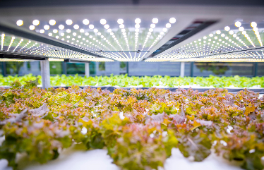 Responsible #investors should rightly consider looking at commodity-related #investments but with a keen eye for improving #sustainability. We offer guidance on different #commodity sectors. #Wealth #Finance bit.ly/2Llh2XG