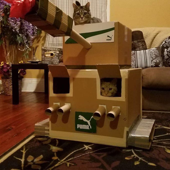 Cattank Creez Un Char D Assaut En Carton Pour Votre Chat Fun Radio