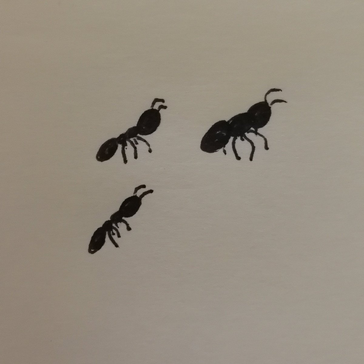 kattsaurus's tweet image. Bugs #dailydoodle #beginnerdoodles #postitdoodle