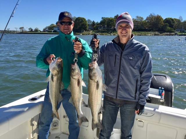 High Hopes TR tweet media