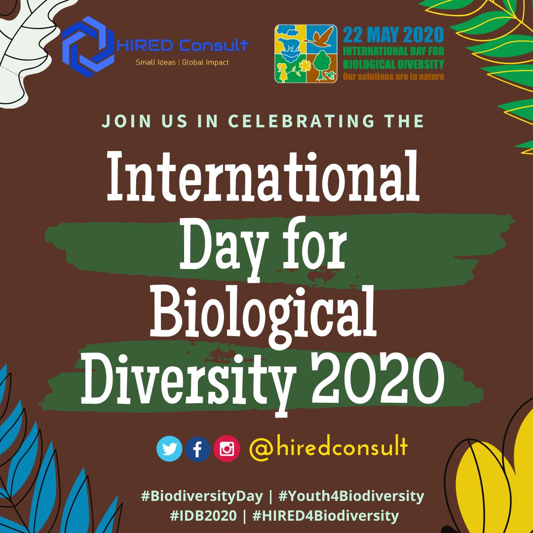 📢📢
#IDB2020 can also provide an opportunity to continue to build momentum toward the adoption of a strong and impactful Post-2020 Global Biodiversity Framework.

JOIN in the Preservation!

#BiodiversityDay 
#Youth4Biodiversity
#BiodiversityNeedsYouTH
#HIRED4Biodiversity
#UN75