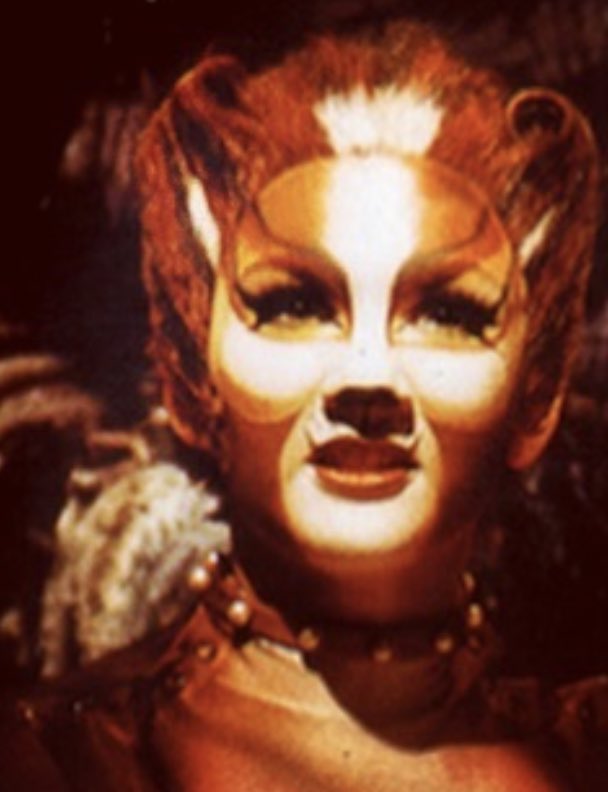 lesbians4suzuka's tweet photo. The Jellicle genes are strong in this family. https://t.co/c5P5Vp7PxG