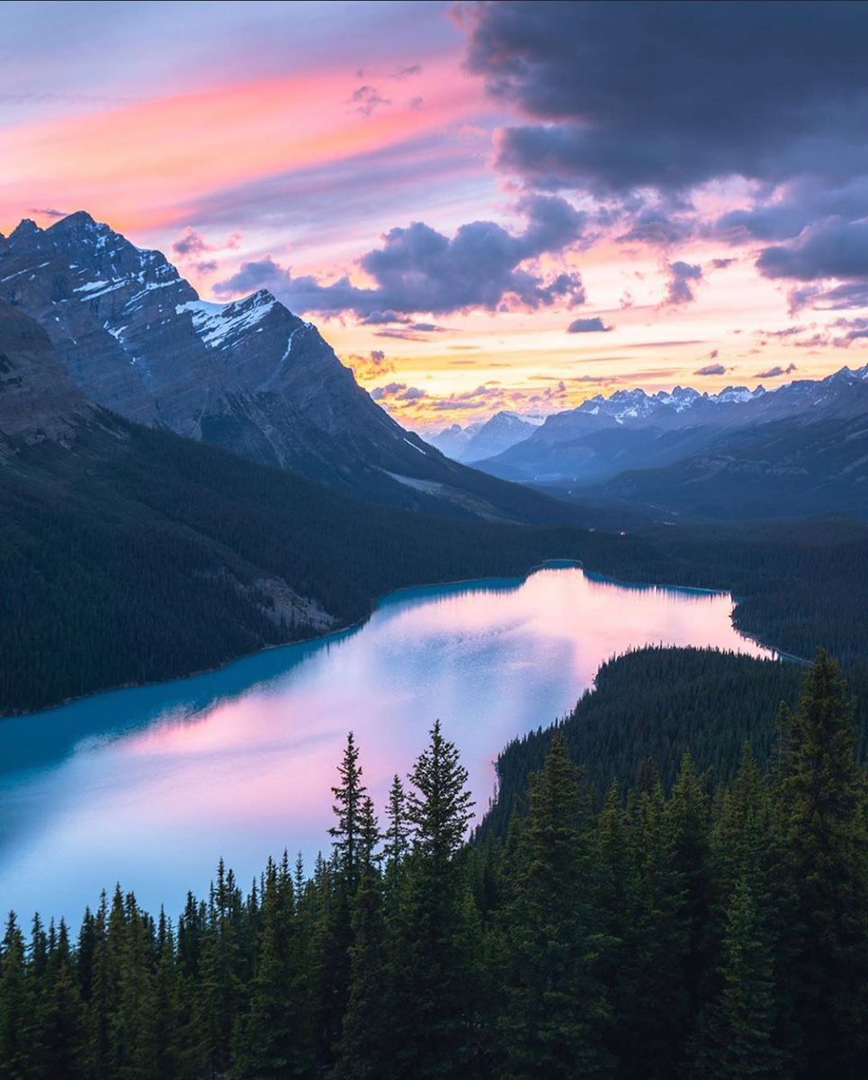 Alberta

(via Instagram/alberthbyang)
