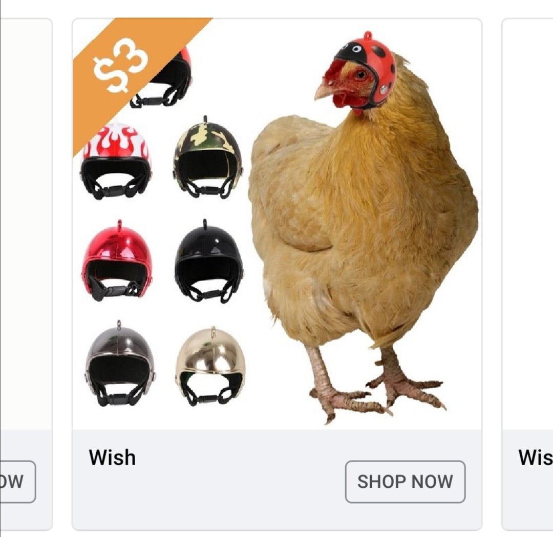 Electric Shore tweet media