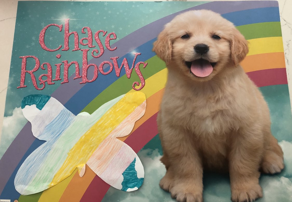 This week EEE STEM students are completing activities that focus on the topic of animal adaptations. Can you find the butterflies in these pictures? <a href="/HillsmereESAACP/">HillsmereESAACPS</a> <a href="/eeeaacps/">EEEAACPS</a> #AACPSAwesome