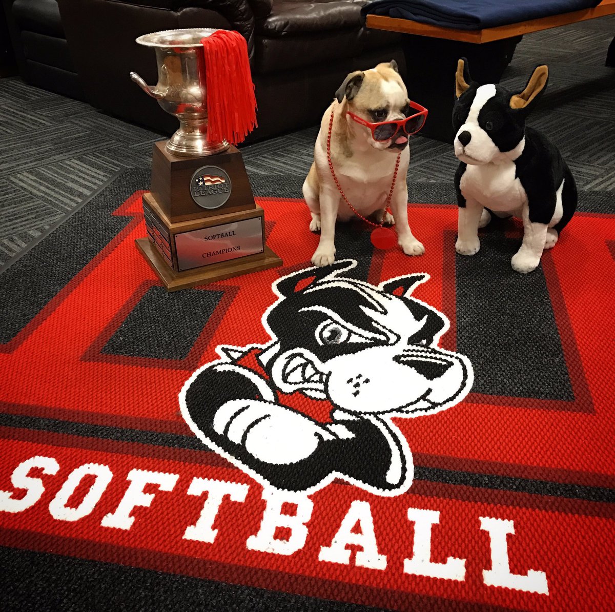 TerrierSoftball's tweet photo. .@RhettBU, please give your good friend Bean and our 2018 @PatriotLeague reg. season/tournament champs a retweet. @TerrierHockey is trying to pull away in the @BUAthletics Team of the Decade semifinal poll on FB, Twitter &amp; Instagram Story. #BUSB 🐾🥎 https://t.co/kgAt1wBlAs