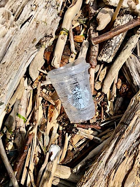 KreggJorgenson's tweet photo. Dear Mister Starbucks, how'za 'bout printing PLEASE DO NOT LITTER on some of your products. Did a volunteer beach clean up today in West Seattle and found a few of these tossed on the beach. #RandomActsOfCleanUp https://t.co/9m1b4LghCM