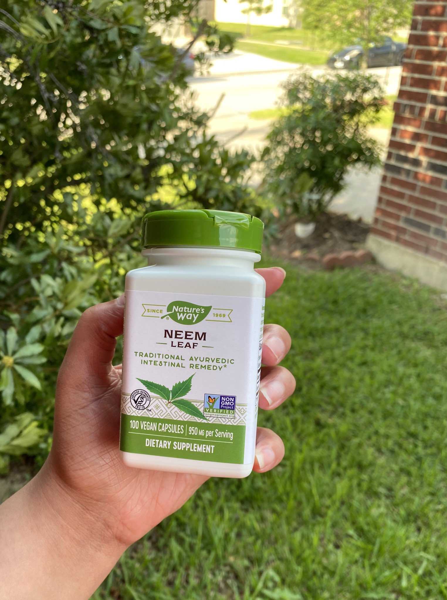 Oci 💕 on Twitter "Trying Neem as natural birth control. Been studying