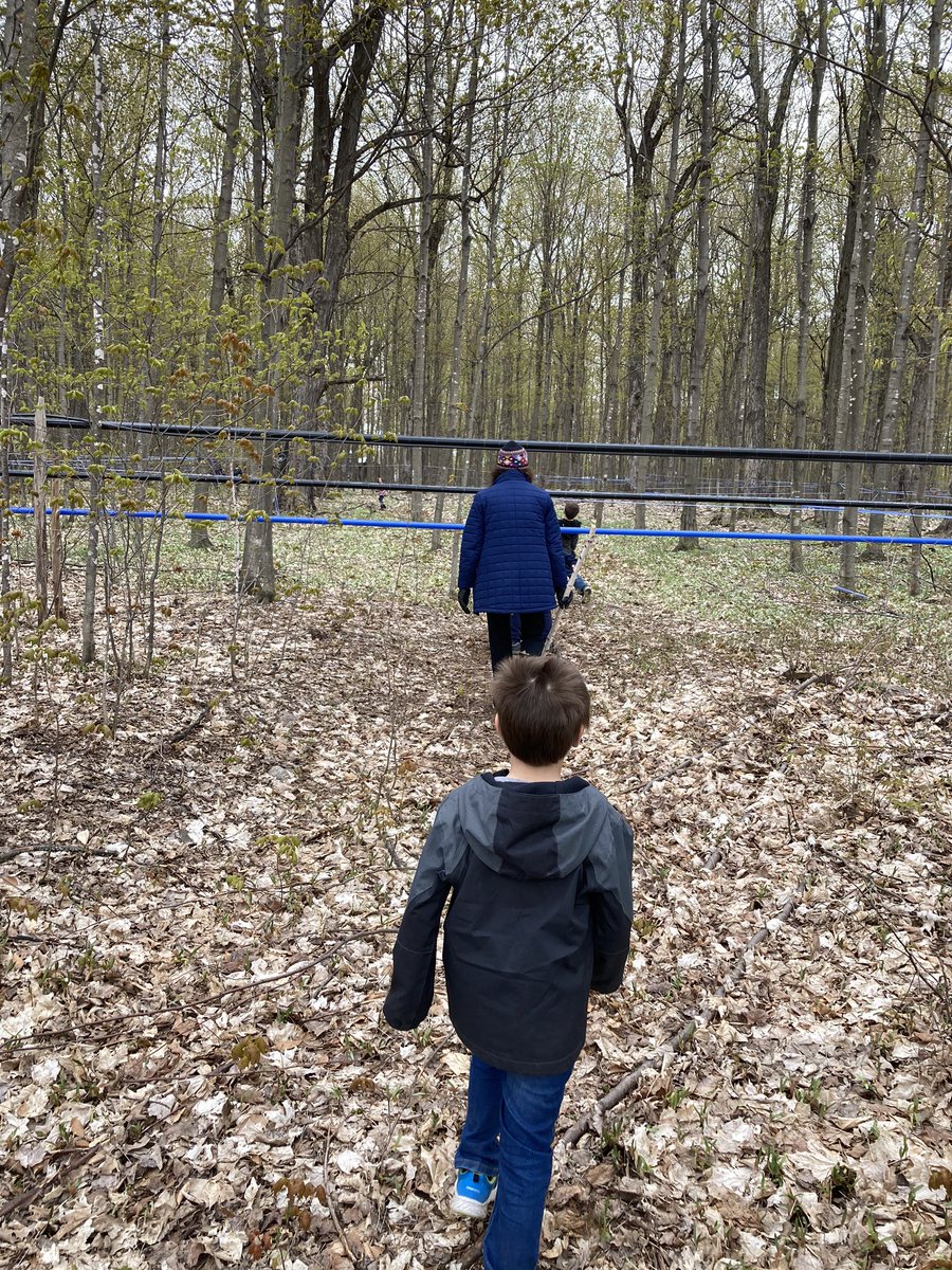 FESKindTeacher's tweet photo. Physical distancing, the Franklin school way. Today our children read, wrote, counted... but they also did the limbo under sap lines, made dandelion soup, and visited the neighbours’ cows. All of that between what seemed like a million hand washes. #smallschoolbigdifference https://t.co/Sq6r3mpwoD